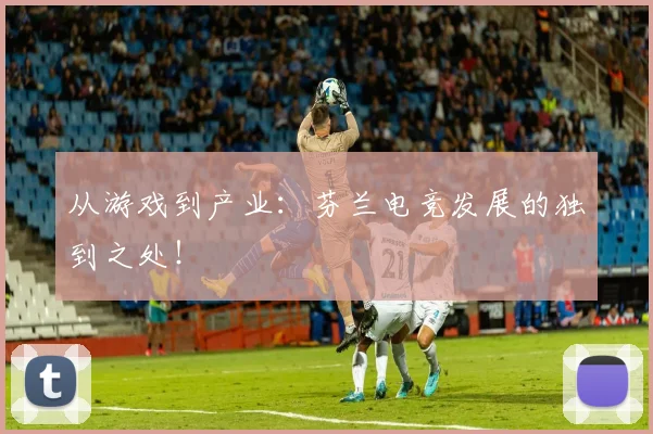 从游戏到产业：芬兰电竞发展的独到之处！