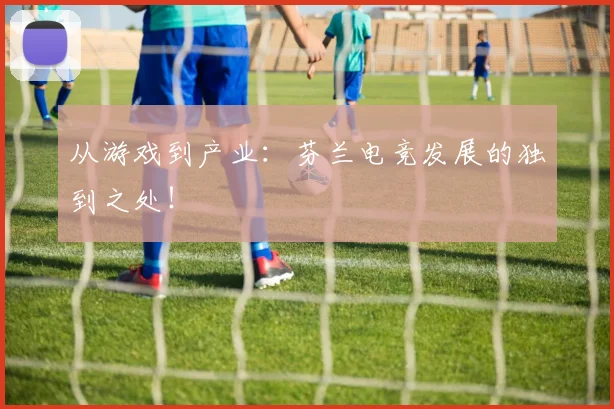 从游戏到产业：芬兰电竞发展的独到之处！