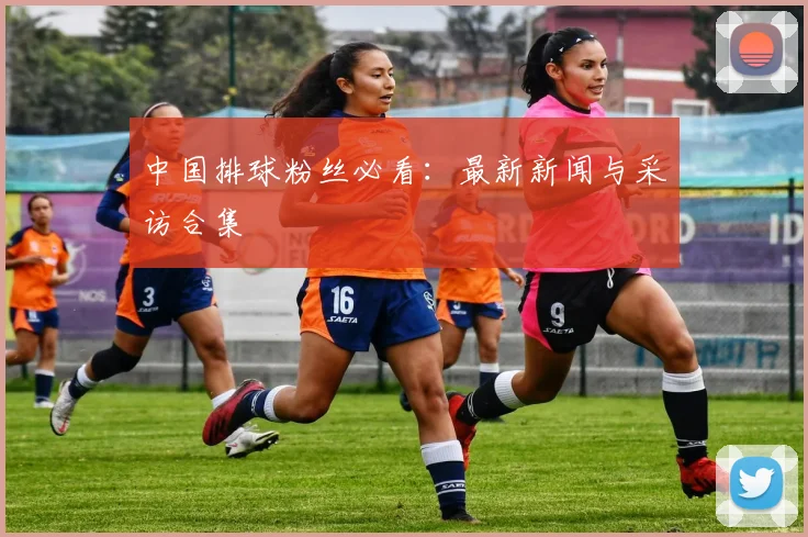中国排球粉丝必看：最新新闻与采访合集