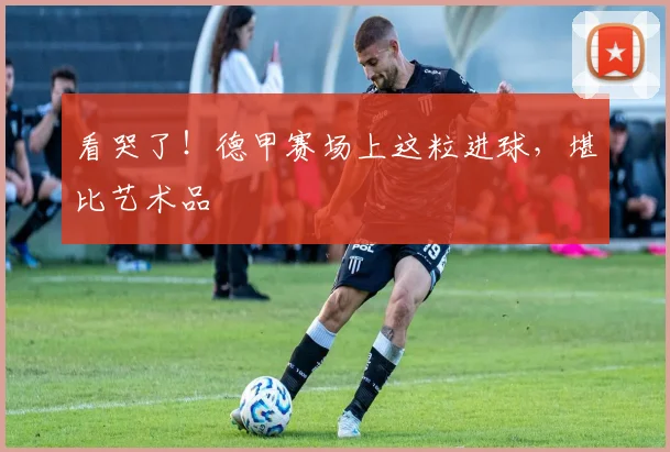 看哭了！德甲赛场上这粒进球，堪比艺术品