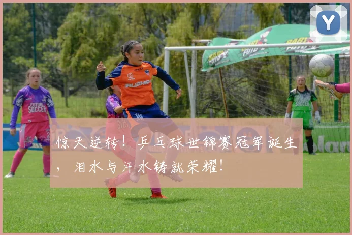 惊天逆转！乒乓球世锦赛冠军诞生，泪水与汗水铸就荣耀！